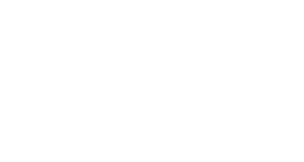 MAXIDIAN UG